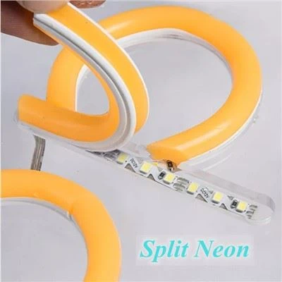 Split Neon 0810